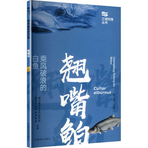 乘风破浪的白鱼 商品图0