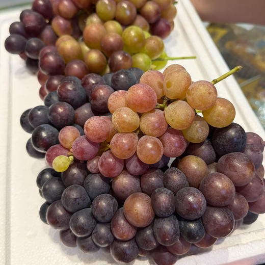 新鲜水果 郧阳万家坪黑皇葡萄 4斤装【十堰主城区包邮】 商品图1