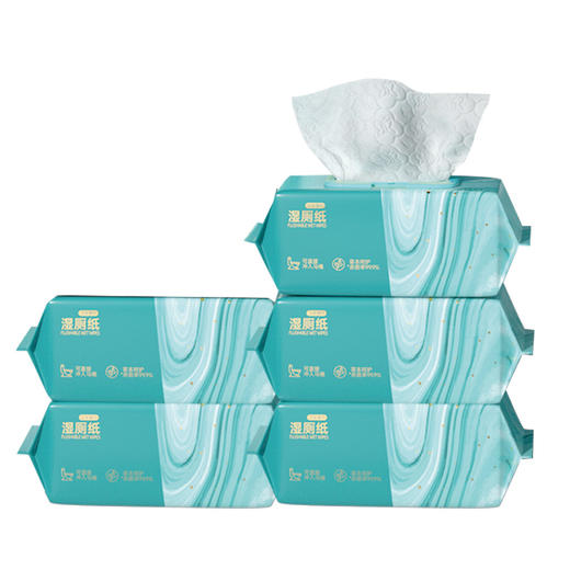植护 青黛湿厕纸80片*5包 zhs80p5b 商品图0