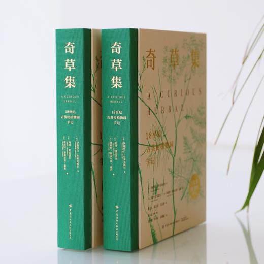 奇草集：18世纪古英伦植物园手记【中国纺织出版社】 商品图4
