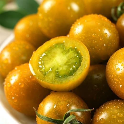 寿光    糖珀琥小番茄 商品图6