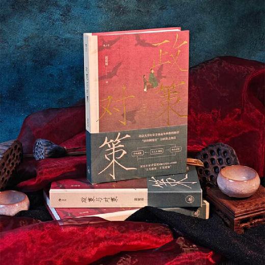 政策与对策:宋代政治史探索 商品图1