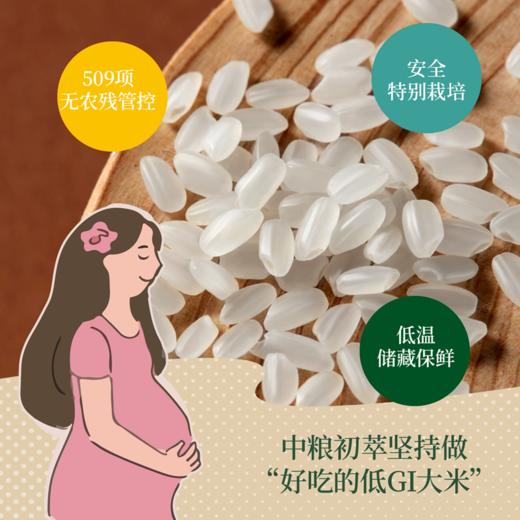 【送初萃低GI大米2kg，到手4斤】活菌型益生菌粉固体饮料60g（2g*30）【米保质期至2026-05，益生菌保质期至2027-04】-专享价 商品图3