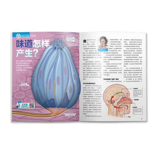 《好奇号》12期征订 商品图3