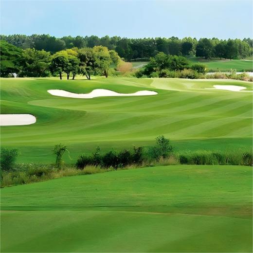 阿约提亚林克斯高尔夫俱乐部 Ayodhya Links Golf Club | 曼谷高尔夫球场 | 泰国高尔夫球场俱乐部 商品图6