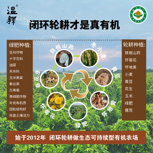 温释有机铁棍山药  河南焦作温县有机种植十四年现挖现发蔬菜【顺丰/京东快递】 商品图6