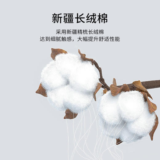 TFO 男款轻奢长绒棉长袖 6922315 商品图3