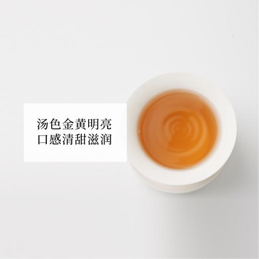 天庆永养生茶黄芪党参人参茶包泡茶6g/包*10包 商品图3