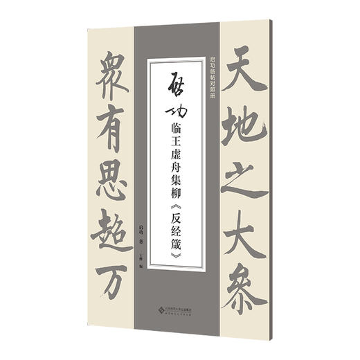 启功临王虚舟集柳《反经箴》 商品图0