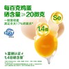 香满园富硒鲜鸡蛋1.59kg(珍珠棉托/礼盒)30枚装   -YS 商品缩略图5