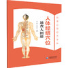 人体经络穴位速查大图册 贾云哲 张文征 主编 详细介绍了十二经脉 任脉 督脉和经外奇穴的取穴定位及功能主治 中国医药科技出版社 商品缩略图1
