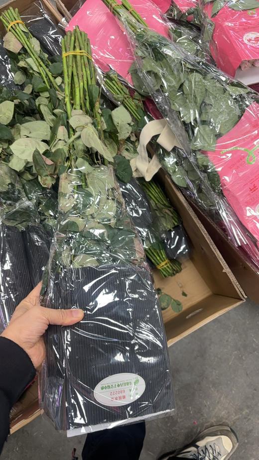 顺民卡布花头大 商品图2