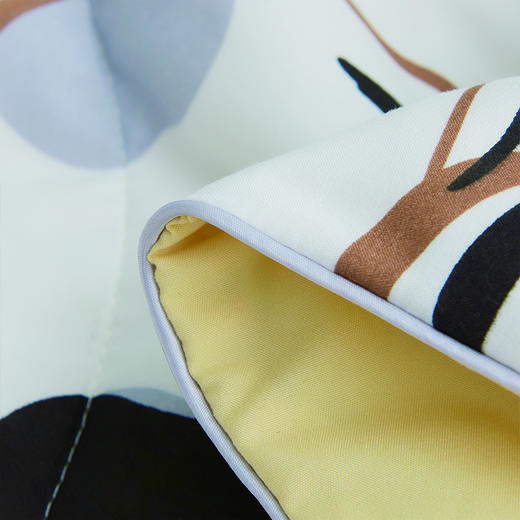 洁丽雅 印花抗菌被-朝花惜拾 CP1219 商品图4