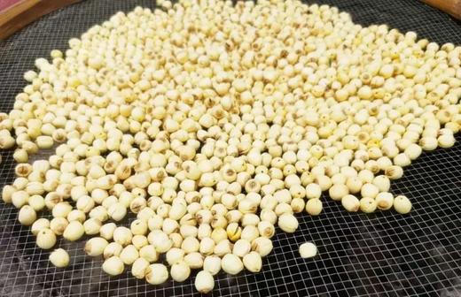 生态通芯白莲/莲子（建莲）300g 产地：福建 商品图3