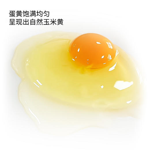 黄马甲黑金鸡蛋20枚装（快递直发） 商品图3