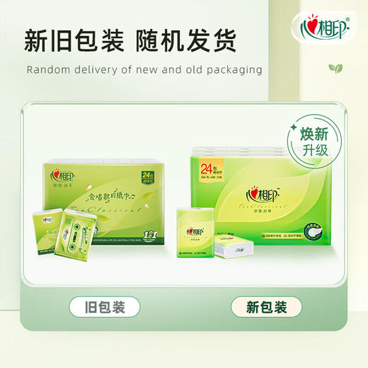心相印 茶语丝享手帕纸4层6片*24包（新老包装随机发货） ADA01106-1T 商品图2