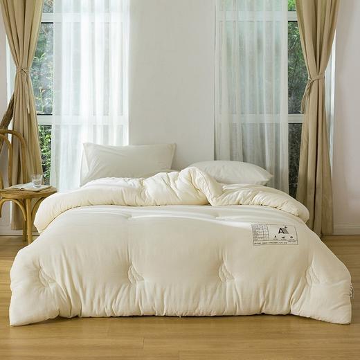 啄木鸟 纯棉大豆纤维被 ZMN-DDB-01 商品图0