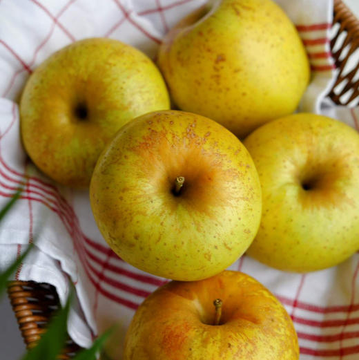 云南维纳斯香野丑苹果 脆甜爽口 汁水丰盈 商品图1