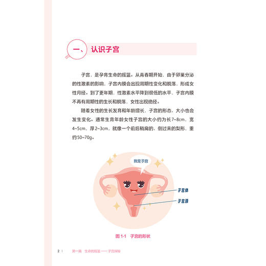 子宫体肿瘤百问百答 刘继红 充分定位为入门指导用书并配有50余幅精美临床图片本书为《卵巢癌百问百答》“姊妹篇”人民卫生出版社 商品图4