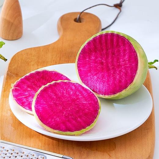 寿光  四色萝卜 商品图2