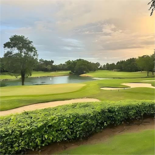 曼谷·艾潘高尔夫俱乐部 Alpine Golf Club Bangkok | 曼谷高尔夫球场 | 泰国高尔夫球场俱乐部 商品图3