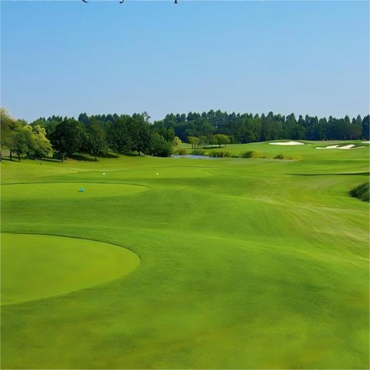 阿约提亚林克斯高尔夫俱乐部 Ayodhya Links Golf Club | 曼谷高尔夫球场 | 泰国高尔夫球场俱乐部 商品图1