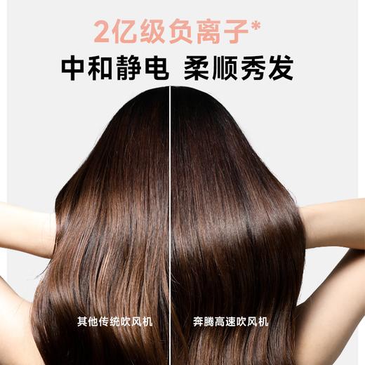 奔腾（POVOS）电吹风H100
柔雾粉 商品图2