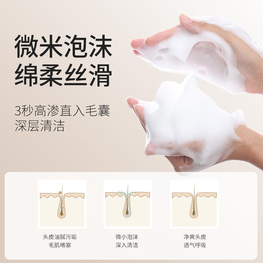 Seagilon森之露 控油蓬松洗发250ml 6930494504118 商品图4