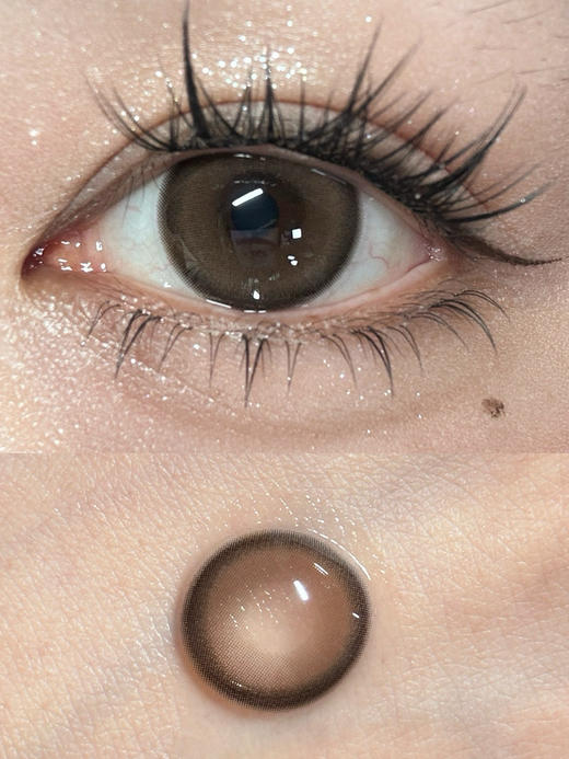 PFGIRLCON杏猫棕（佩戴直径：14.2mm） 商品图1