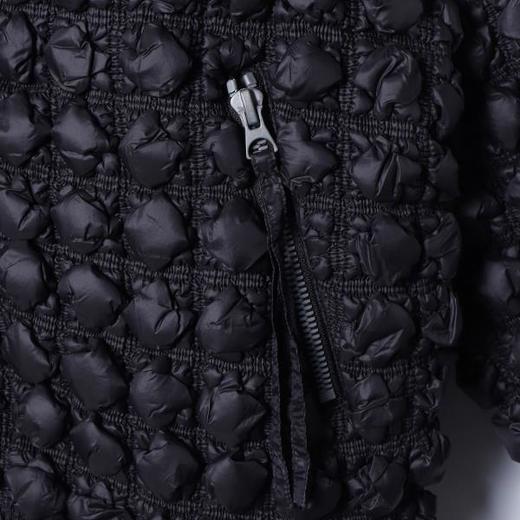 23835SDSA男士秋冬新款痞帅男装老钱风纯色格纹拉链连帽白鹅绒服外套 商品图3