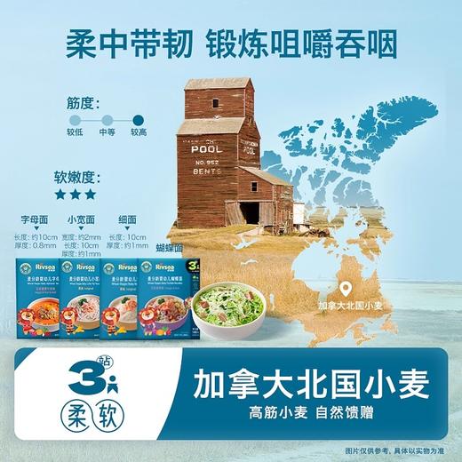 禾泱泱面条类合集 商品图2