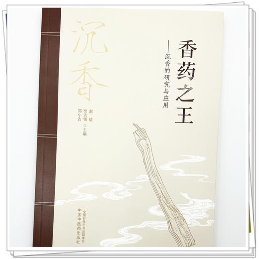 香药之王:沉香的研究与应用 赵斌 徐吉银 郑小吉 主编 中国中医药出版社 商品图3