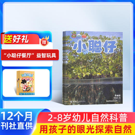 小聪仔自然科普版 1年共12期 自然动物儿童科学期刊杂志 杂志订阅 商品图0