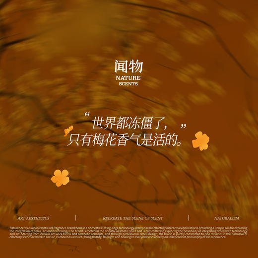 【气味写生】闻物冬日腊梅无火香氛还原冬日腊梅植物精油扩香礼物 商品图4