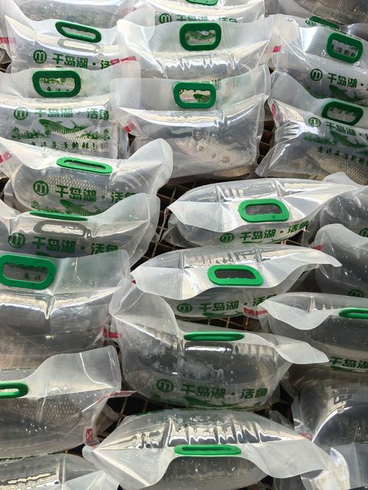 千岛湖鲫鱼17.8元/1条约400-500g打氧 ，明天到 商品图2