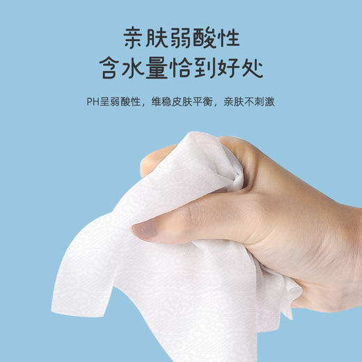 植护 可爱鸭湿厕纸80抽*4包 zh80c04b 商品图4