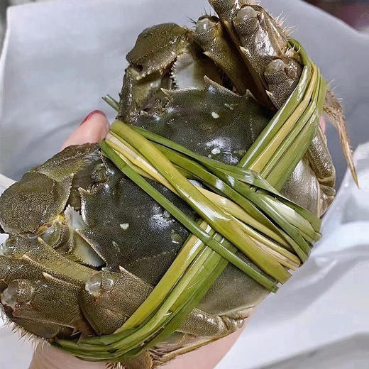 苏州精品大闸蟹（产地阳澄湖直发一蟹一扣一码） 商品图1