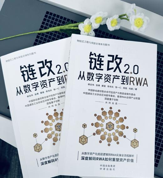 链改2.0：从数字资产到RWA 从数字资产化底层逻辑到RWA实操全流程解析 深度解码RWA如何重塑资产价值 商品图4