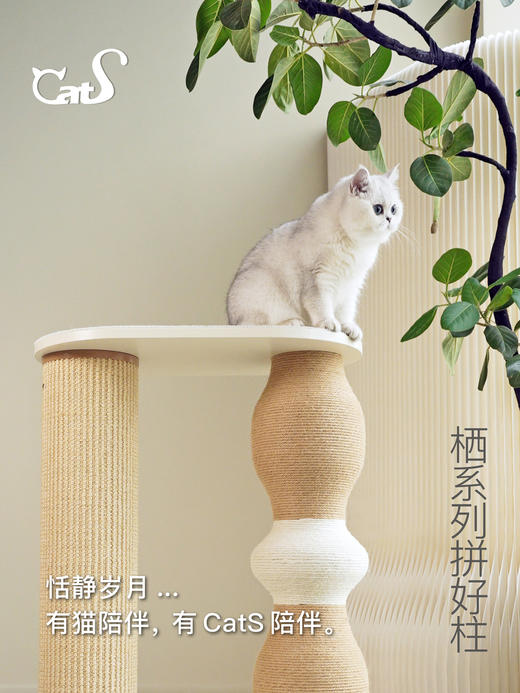 栖系列 彩色麻绳耐磨猫抓柱猫咪用品组合小爬架 商品图3