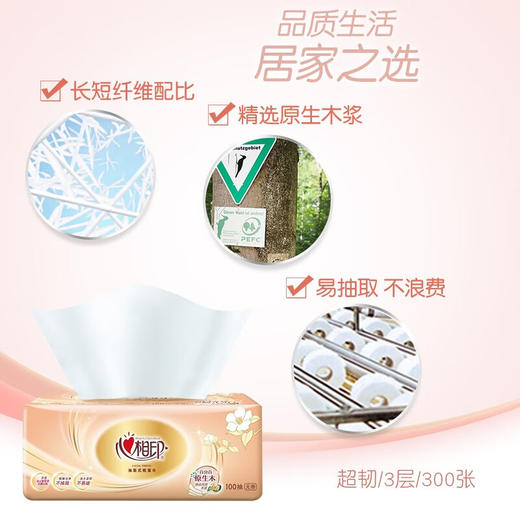 心相印 金装经典系列抽纸3层100抽3包*2提 A0DJC3B-02T 商品图2