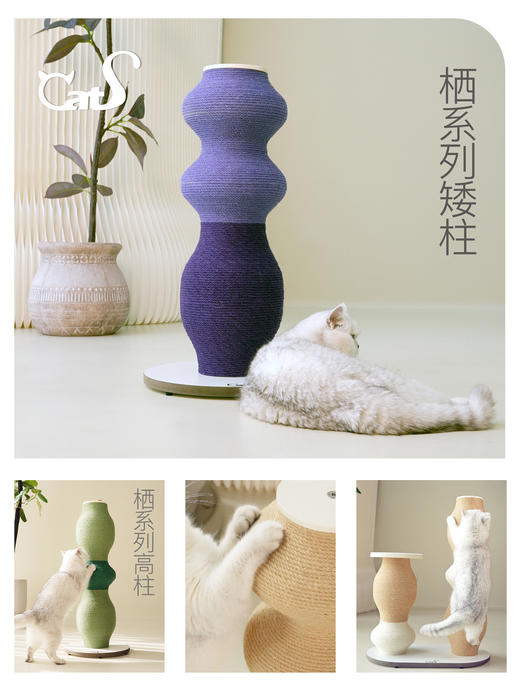 栖系列 彩色麻绳立式猫抓柱耐磨猫玩具小猫树 商品图2