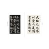 启功临王虚舟集柳《反经箴》 商品缩略图1