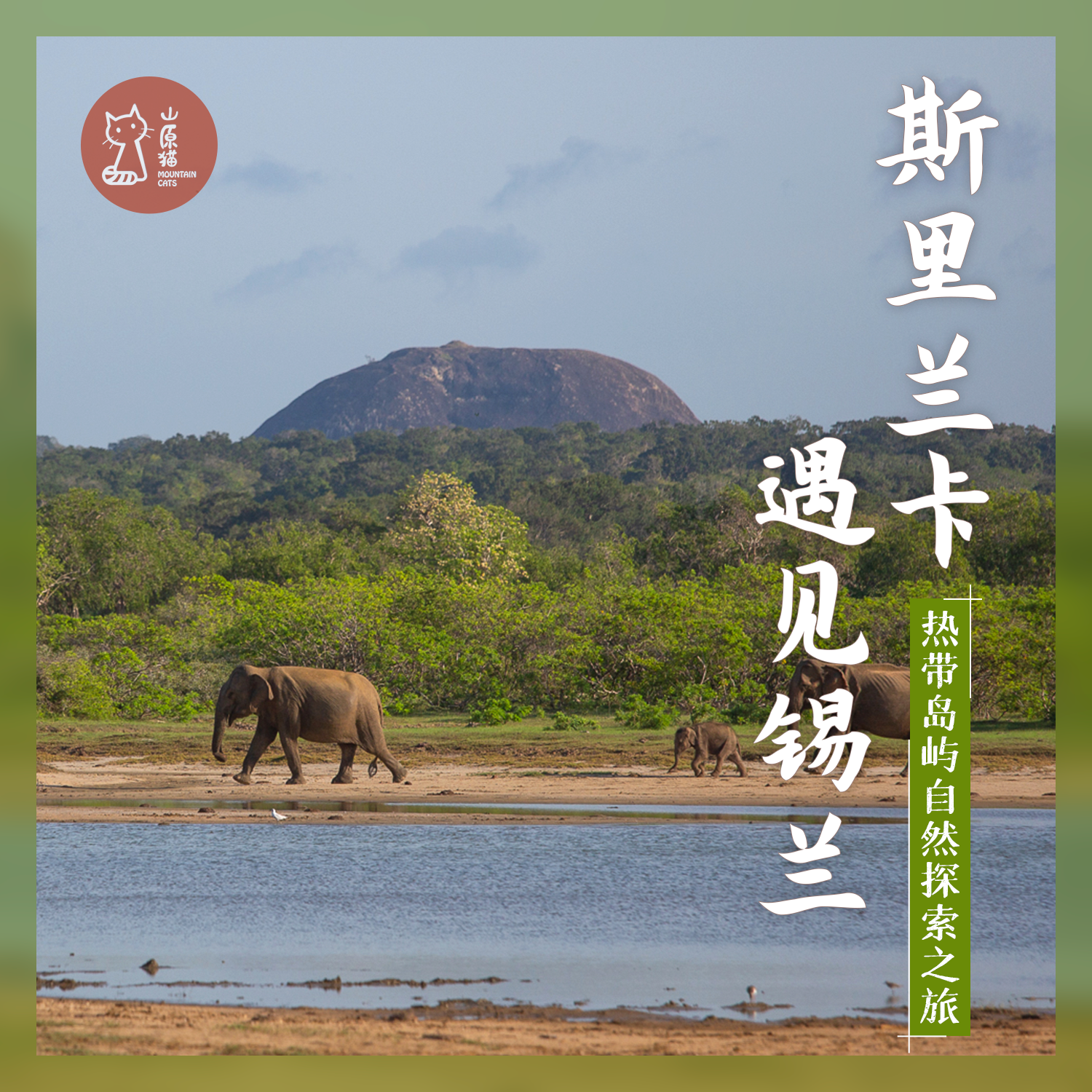 「已成团 · 春节假期2.19-2.25」遇见锡兰·斯里兰卡自然探索之旅