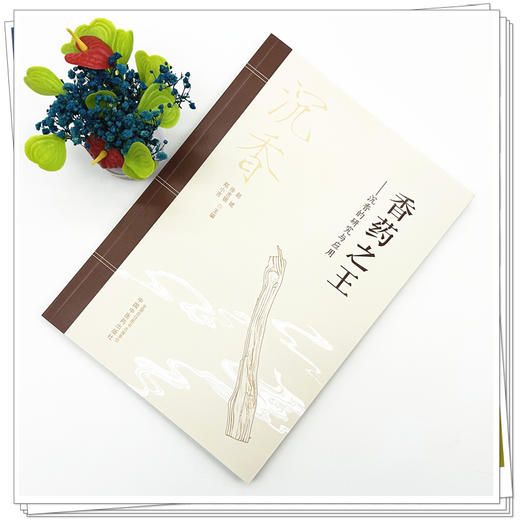 香药之王:沉香的研究与应用 赵斌 徐吉银 郑小吉 主编 中国中医药出版社 商品图1