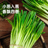海天葱油拌面酱200g鲜香蒜蓉辣椒酱230g 商品缩略图2