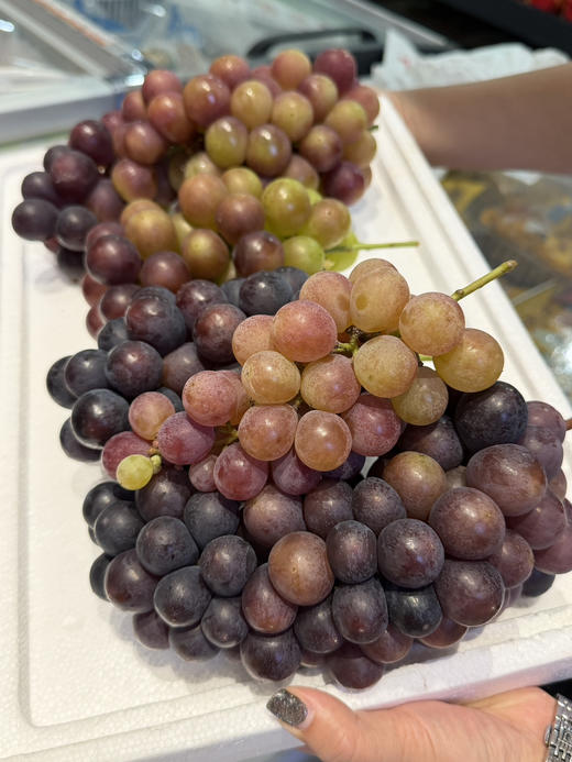 万家坪本地葡萄 商品图0