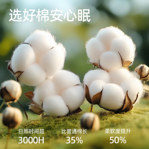 【商场同款】熳洁儿 早秋新款纯棉家居服晕染渐变开衫套装25703230 商品图3