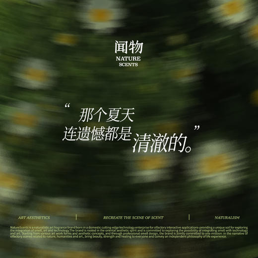 【夏日限定】闻物七月雏菊无火香氛还原花田场景植物精油扩香礼物 商品图4