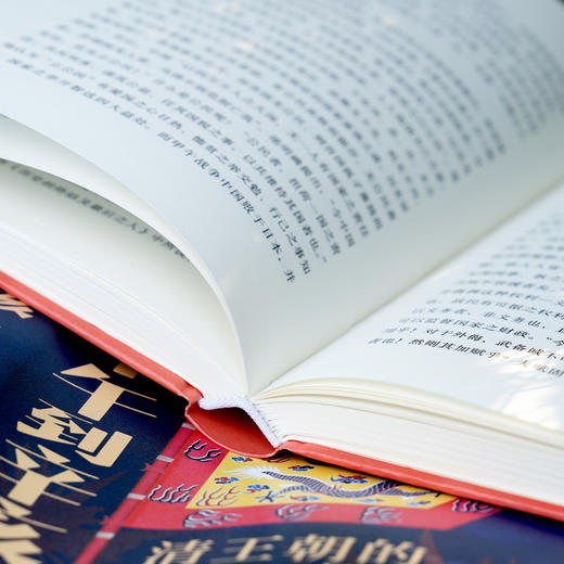 从甲午到辛亥：清王朝的最后时刻 商品图8