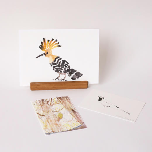 「中国 胡沁迪」巡游周边 明信片 riso print 商品图1